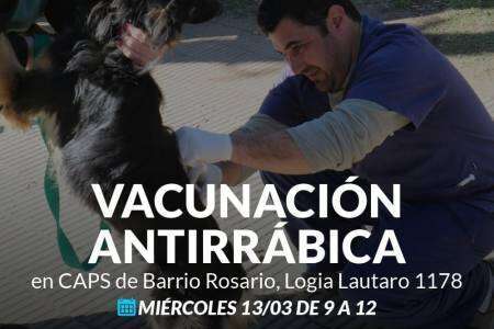 Campaña de vacunación antirrábica en Barrio Rosario
