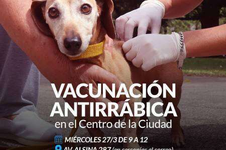 Campaña de vacunación antirrábica en el centro de la ciudad