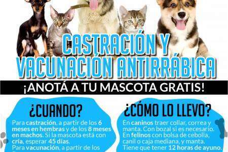 Castración y Vacunación Antirrábica