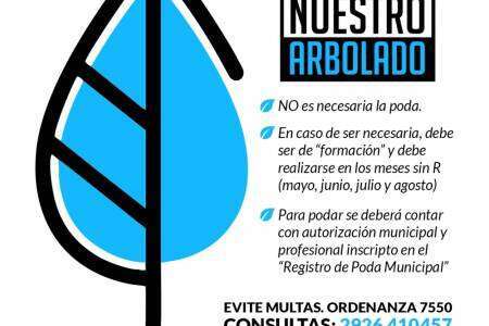 Ambiente y la Comisión Municipal de Arbolado y sus consejos para el cuidado del arbolado urbano