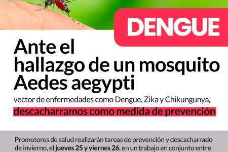 Ante el hallazgo de un mosquito Aedes aegypti vector de enfermedades como Dengue, Zika y Chikungunya, descacharramos como medida de prevención