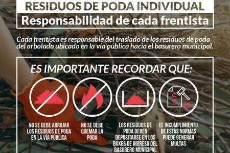 Residuos de poda del arbolado urbano: responsabilidad del frentista