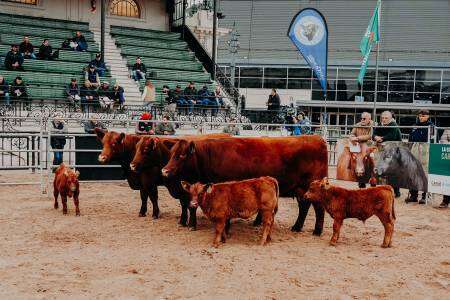 Más de 2.800 visitantes en la primera jornada de la Expo Otoño de Angus