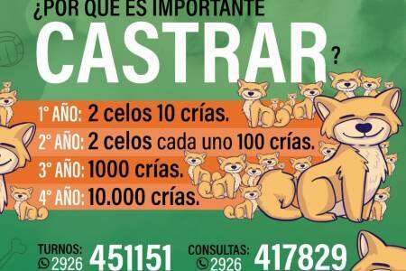 ¿Sabías que en Coronel Suárez podés castrar a tus mascotas de forma gratuita?