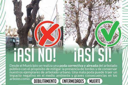 Cuidemos nuestro arbolado público y urbano