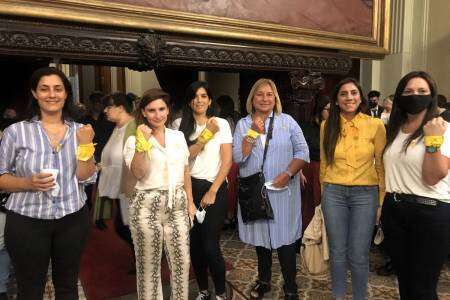 PBA: El Senado Bonaerense dió media sanción a la Ley de Endometriosis