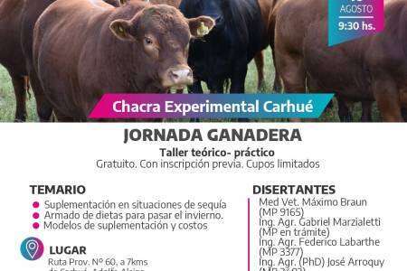 Jornada ganadera en Chacra Experimental Carhué