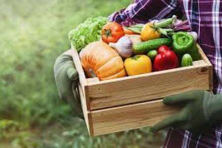 HELM Crop Solutions, Banco de Alimentos y Manos en Acción se unieron en un llamado al agro para promover juntos la responsabilidad social y una alimentación de  calidad y sustentable