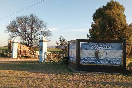 Cabaña Ama2 abre las tranqueras para la muestra y venta de sus Hereford