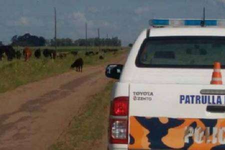 Hallan elementos de caza en la ruta 76 pero dos personas escapan 