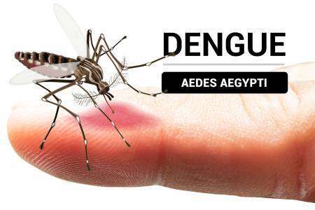 ¿Cómo se trabaja para prevenir el Dengue en Suárez? Preocupación por llegada de casos ante la "tropicalización del clima"