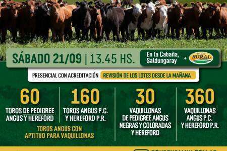 Gran Remate Anual de Estancias y Cabaña Don Benjamín