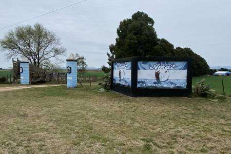 Cabaña Ama2, exitosa muestra y venta de Hereford