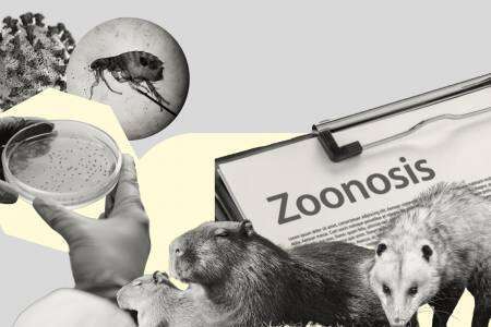 "Coronel Suárez es uno de los lugares con más sospecha de leptospirosis"