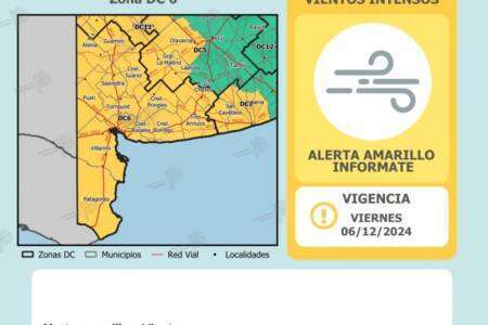 Emiten una alerta amarilla por vientos para el viernes a la tarde en Suárez y la región