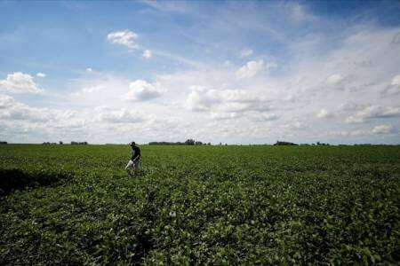 Qué son los pagarés bursátiles que no pudo pagar el grupo “Los Grobo” y por qué complican a algunas empresas del agro