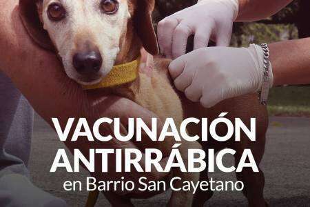 Campaña de vacunación antirrábica en Barrio San Cayetano