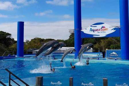 El Aquarium Mar del Plata cierra sus puertas después de más de 30 años