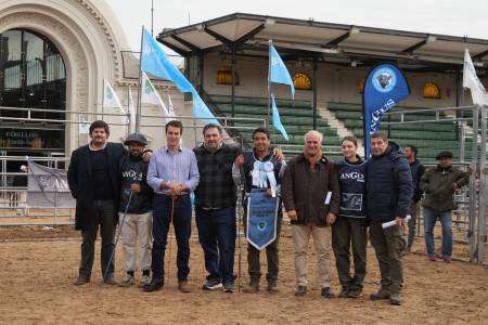 En los lotes ganó Santa Rosa el Gran Campeón macho y Don José en hembras