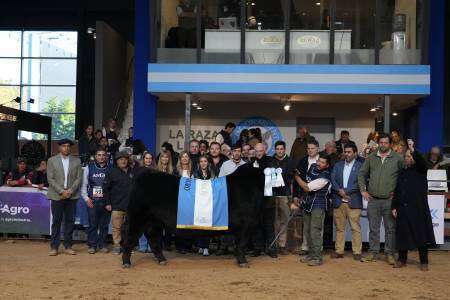 El Supremo Gran Campeón Angus fue para Quequén Sur y la Suprema Gran Campeona para La Alianza