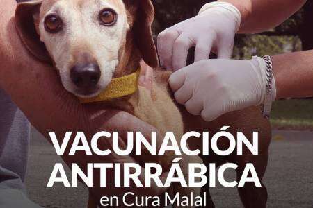 Campaña de Vacunación Antirrábica en Cura Malal