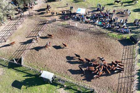 Exitoso 1er Aparte Campero en Coronel Suárez