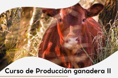 Curso de Producción Ganadera II