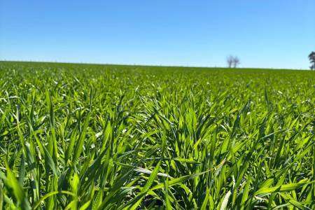 DÍA DEL PRODUCTOR AGROPECUARIO - Los productores bonaerenses: kilómetro 0 de un campo limpio 
