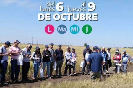 ¡Semana de Tranqueras Abiertas - 4ta edición!