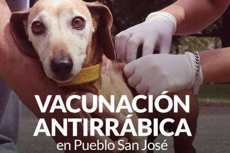 Campaña de Vacunación Antirrábica pueblo San José