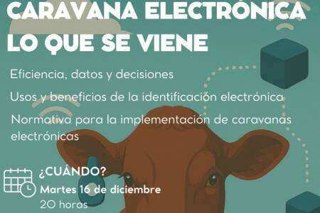 Caravana Electrónica: lo que se viene