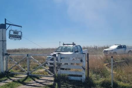 Investigan el robo de vacunos en un campo de Olavarría
