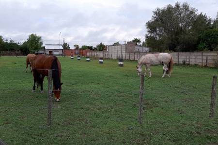 Equinoterapia De Corazón celebra la amistad “De blanco” 