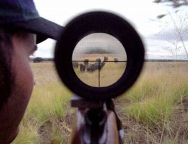 “De manera definitiva”: buscan prohibir la caza en campos privados bonaerenses y crear sanciones más duras para los infractores