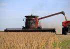 Por el impuesto a la riqueza, el campo perdería exportaciones por u$s 2400 millones