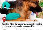 Puntos fijos de vacunación antirrábica para avanzar con la prevención
