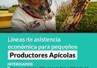 Líneas de asistencia económica para pequeños Productores Apícolas