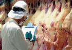 Carne: cepo light a exportaciones, Plan Ganadero y tres cortes 45% más baratos