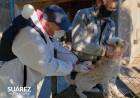 Campaña de Vacunación Antirrábica en Barrio San Cayetano