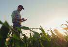 Una app que permite mejorar la producción agropecuaria usando información satelital, técnicas de big data y machine learning