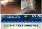 Parte de prensa policial