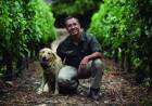 Hoy se celebra el día del ingeniero agrónomo y del médico veterinario