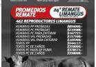 Resultados del 24º remate Limangus de Estancia Los Choles