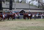 102º Exposición de Ganadería: detalles y días en los que se realizará el evento