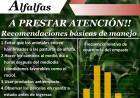 Recomendaciones para el pastoreo en alfalfas