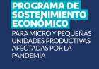 Programa de sostenimiento económico para micro y pequeñas unidades productivas afectadas por la pandemia
