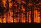 S.O.S. En Corrientes se incendia el “Estado presente”