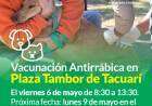 Vacunación antirrábica en Plaza Tambor de Tacuarí