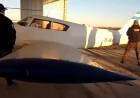 Tres detenidos por robar una avioneta en Pigüé: apareció en un campo de Origone