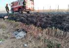Sorprende un inicio de incendio en un campo vecino al basurero
